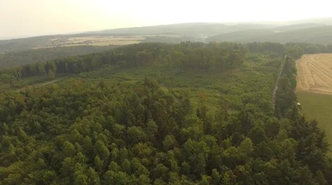 Flight over forest Stock Footage 53364978