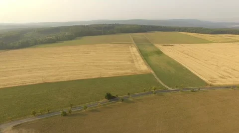 Flight over forest Stock Footage 53365001