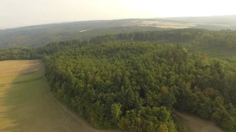 Flight over forest Stock Footage 53365113