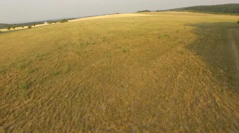 Flight over forest Stock Footage 53365523