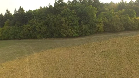 Flight over forest Stock Footage 53365983
