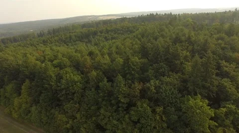 Flight over forest Stock Footage 53365987