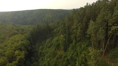 Flight over forest Stock Footage 53366239