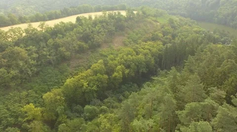 Flight over forest Stock Footage 53366290