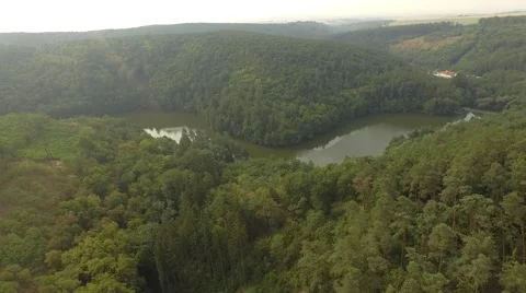 Flight over forest Stock Footage 53366461