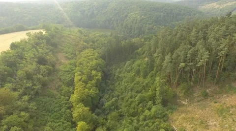 Flight over forest Stock Footage 53366720