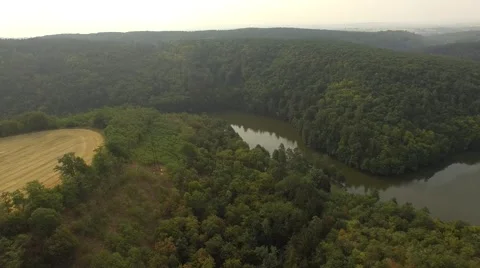 Flight over forest Stock Footage 53366860