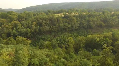 Flight over forest Stock Footage 53366967