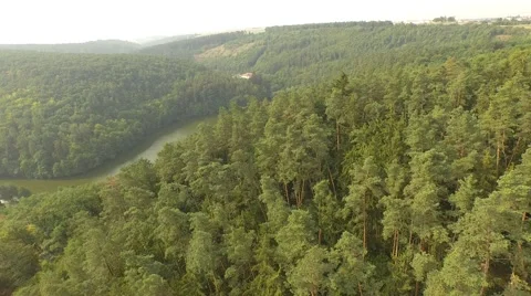 Flight over forest Stock Footage 53367008