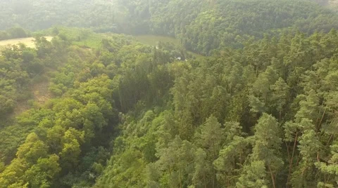 Flight over forest Stock Footage 53367009
