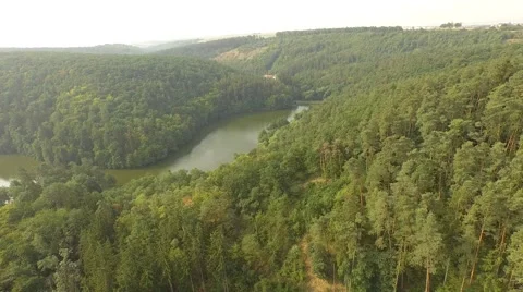 Flight over forest Stock Footage 53367043