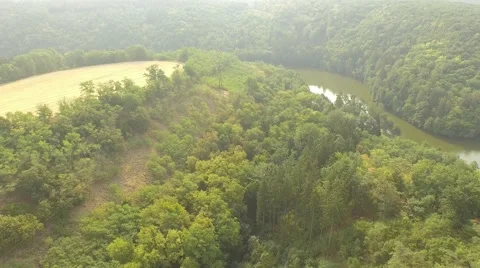 Flight over forest Stock Footage 53367089