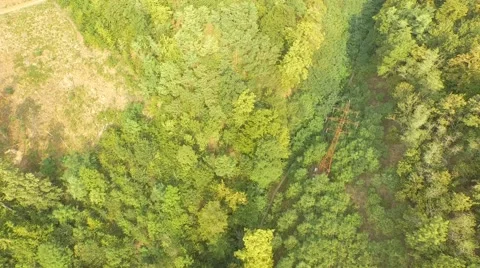Flight over forest Stock Footage 53367220