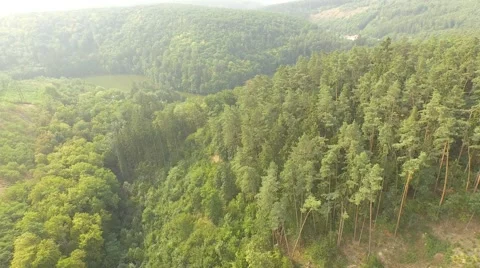 Flight over forest Stock Footage 53367247