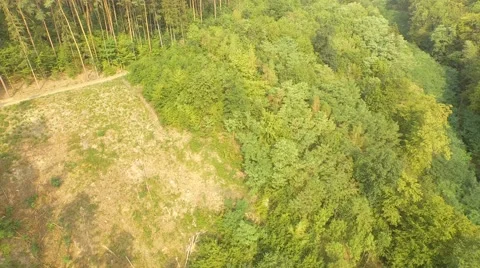 Flight over forest Stock Footage 53367276