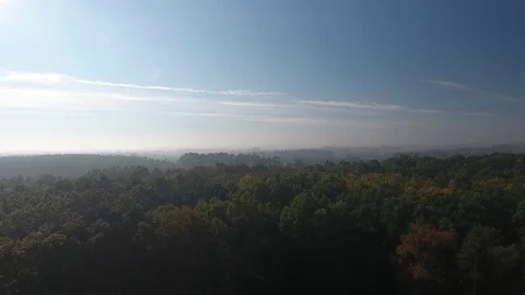 Flight over a forest Stock Footage 71060479