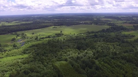 Flight over the forest Video stock 77490416