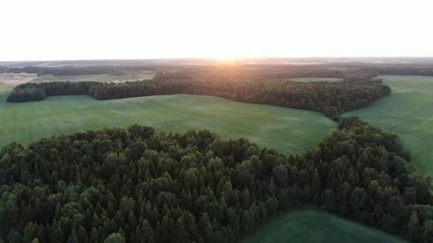 Flight over the forest. Stock Footage 111511548
