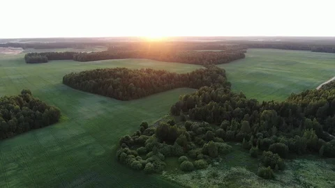 Flight over the forest. Stock Footage 111512359