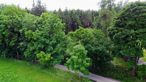 Flight over a forest Stock Footage 156905374