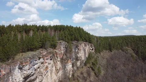 Flight over the forest Stock Footage 204708741