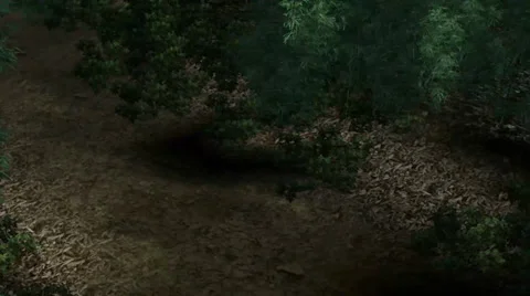 Flight over the forest jungle Stock-Footage 34218418