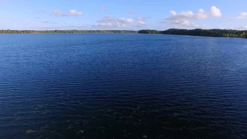 Flight over a forest lake Vídeos de archivo 81569817