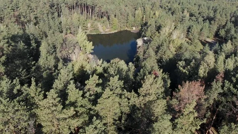 Flight Over a Forest Lake With Rocks, Flooded Quarry Stock Footage 98644392