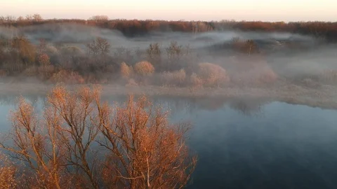 Flight over the forest lakes. Stock Footage 123338275