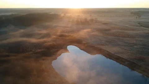 Flight over the forest lakes. Stock Footage 123338595