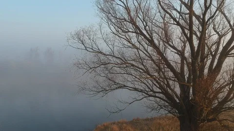 Flight over the forest lakes. Stock Footage 123339756