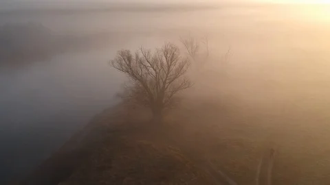 Flight over the forest lakes. Stock Footage 123340281