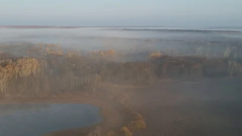 Flight over the forest lakes. Stock Footage 123340368