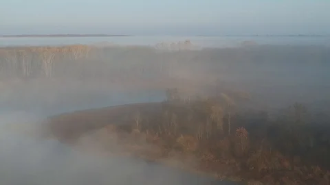 Flight over the forest lakes. Stock Footage 123340459
