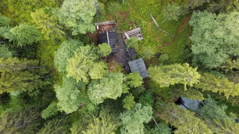 Flight over the forest, log hut, qerial top down view on forest in the summer Stock Footage 135069512