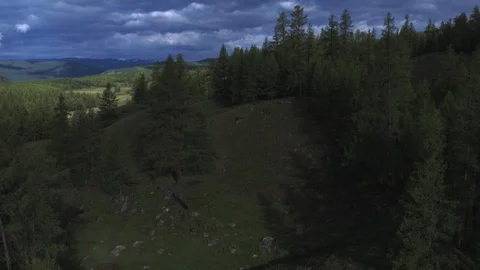 Flight over the forest, meadows, over the tops of trees, towards the mountains Stock Footage 123966658