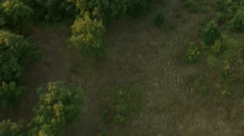 Flight over forest in mountain. Aerial View. Stock Footage 40477589