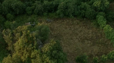 Flight over forest in mountain. Aerial View. Stock-Footage 40477592