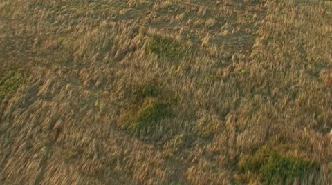 Flight over forest in mountain. Aerial View. Stock Footage 40477682