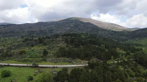 Flight over a forest with a mountain bottom 스톡 동영상 137037476