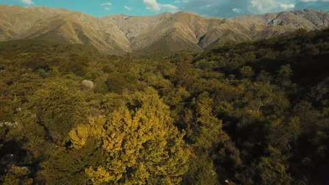 Flight over forest with mountains in the back in Merlo, San Luis, Argentina Stock Footage