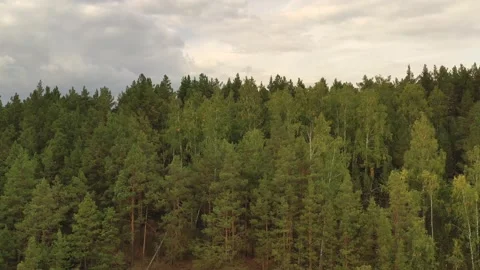Flight over the forest in the mountains. Endless forests and mountains. Stock Footage 139856350