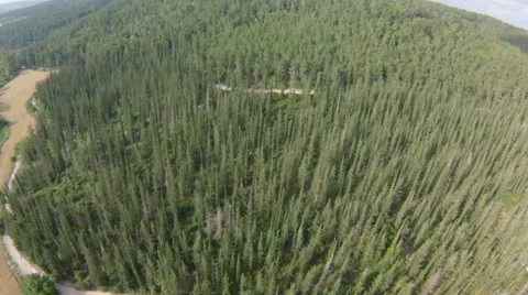 Flight over forest in mountains, Israel Stock Footage 44477405