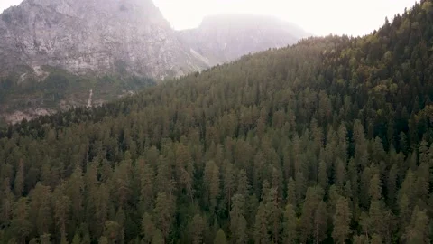 Flight over the forest in the mountains near the mountain lake Stock Footage 144644629