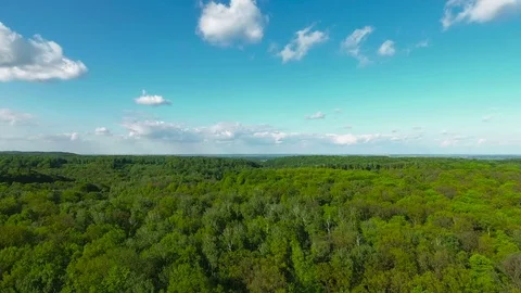 Flight over the forest move up Stock Footage 75643850