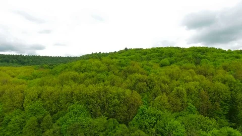 Flight over the forest move up Stock Footage 75644592