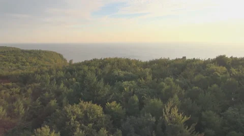 Flight Over Forest To The Ocean On Island Video stock 36835260