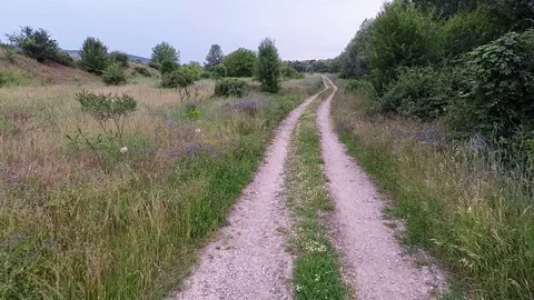 Flight over forest path Stock Footage 80892168