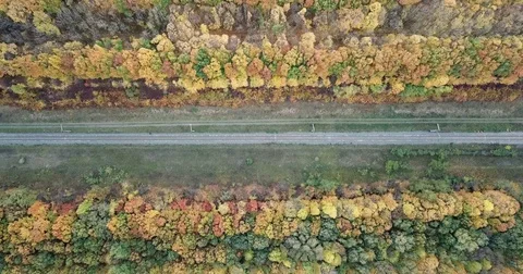 Flight over the forest. Railway Stock Footage 81419103