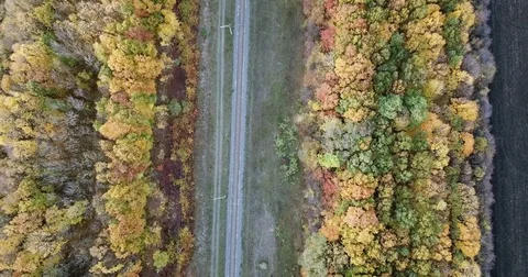 Flight over the forest. Railway Stock Footage 81420343
